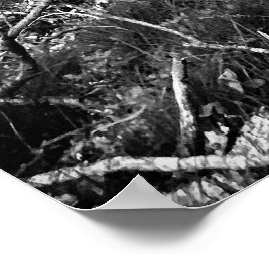 black and white birch forest poster (Ecke)