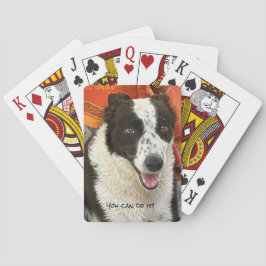Black and White Border Collie Playing Cards Spielkarten