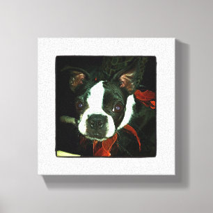 Black and White Boston Terrier Leinwanddruck