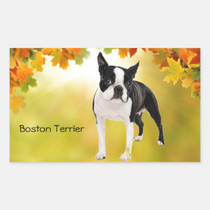Black and White Boston Terrier Rechteckiger Aufkleber