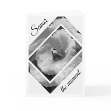 Black and White Butterfly Savor the Moment