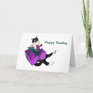 Black and White Cat Gift Birthday Card Karte