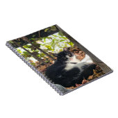 Black and White cat in a bush Notizblock (Rechte Seite)