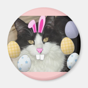 Black and White Cat Magnet