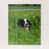 Black and White Collie in Grass Puzzle (Vertikal)