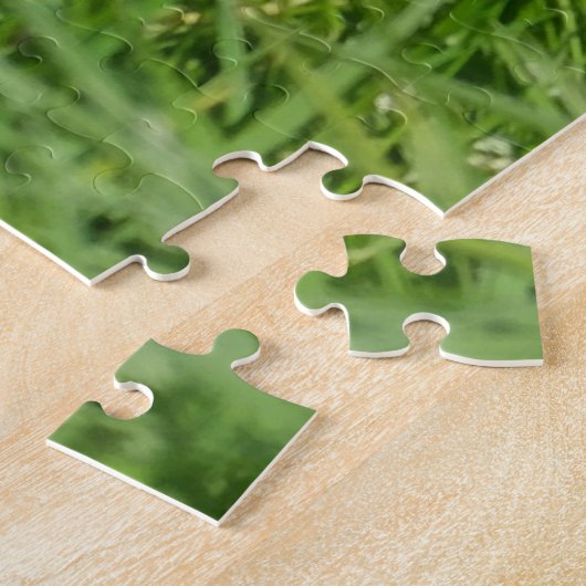 Black and White Collie in Grass Puzzle (Seite)