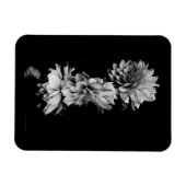 Black-and-White Dahlia Trio Magnet (Horizontal)