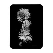 Black-and-White Dahlia Trio Magnet (Vertikal)