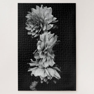 Black-and-White Dahlia Trio Puzzle