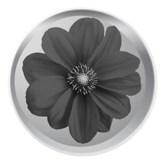 Black and White Daisy Knob, Timeless Elegance for  Keramikknauf (Vorderseite)