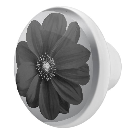 Black and White Daisy Knob, Timeless Elegance for Keramikknauf (Rechts)