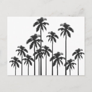 Black and White Exotic Tropical Palm Trees Postkarte