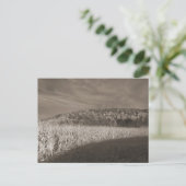 Black and White Fields Of Grain Postkarte (Stehend Vorderseite)