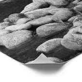 Black and White Forest Creek Poster (Ecke)