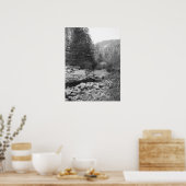Black and White Forest Creek Poster (Küche)