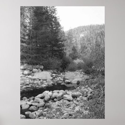 Black and White Forest Creek Poster (Vorne)