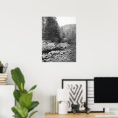 Black and White Forest Creek Poster (Heimbüro)