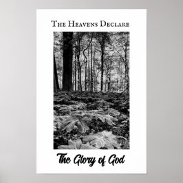 Black and White Forest Glory of God Poster