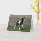Black and White Gypsy Vanner Foal Running Karte (Gelbe Blume)