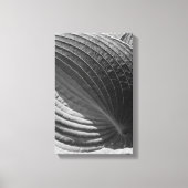 Black and White Hosta Leaf Leinwanddruck (Vorderseite)