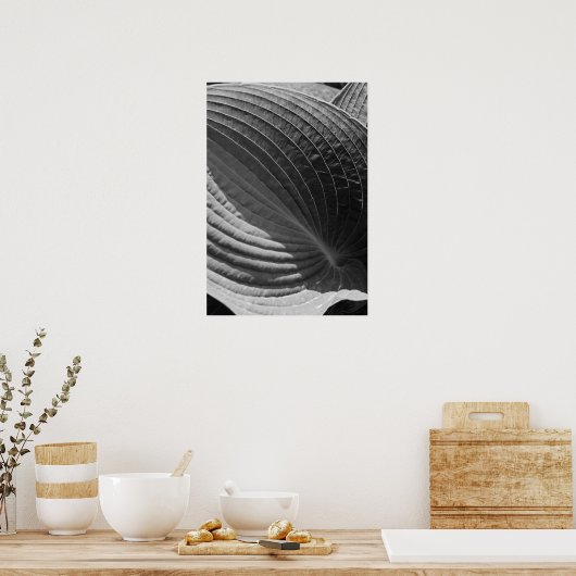 Black and White Hosta Leaf Poster (Küche)