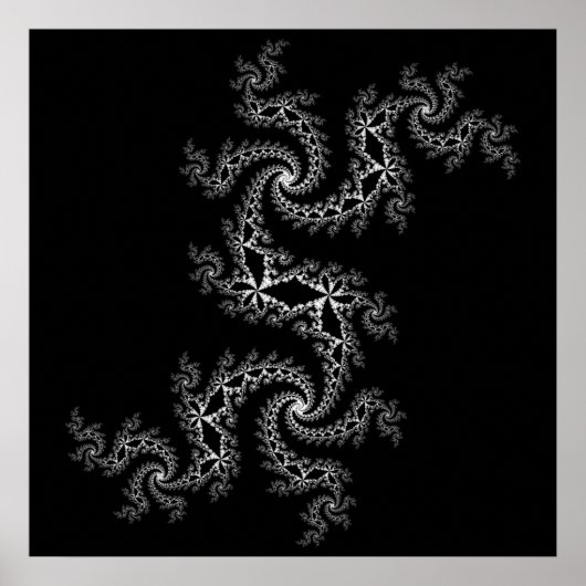 Black and White Julia 300488 Poster (Vorne)