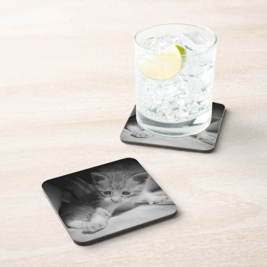 Black and White Kitten Fotograph Getränkeuntersetzer (Rechte Seite)