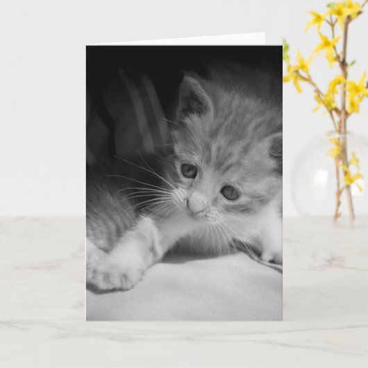 Black and White Kitten Fotograph Karte (Gelbe Blume)
