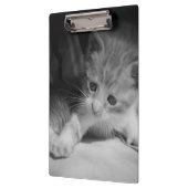 Black and White Kitten Fotograph Klemmbrett (Links)