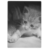 Black and White Kitten Fotograph Klemmbrett (Rückseite)