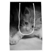 Black and White Kitten Fotograph Mittlere Geschenktüte (Rückseite)