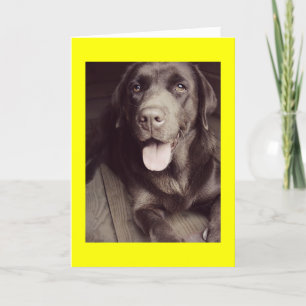 Black And White Labrador Retriever Dog Note Card Karte