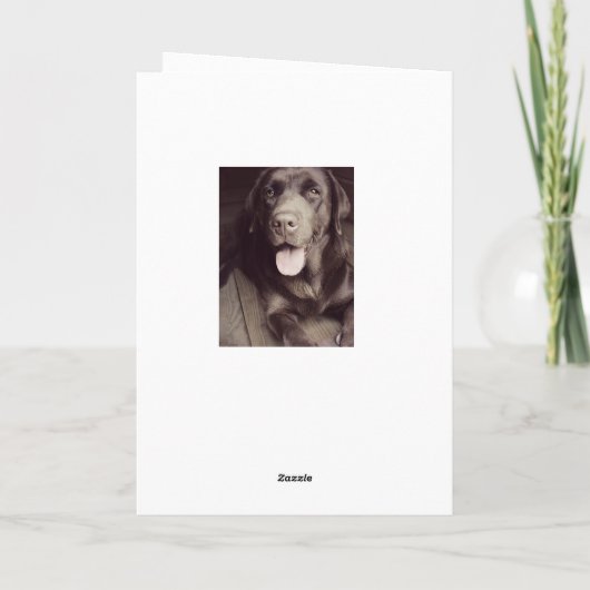 Black And White Labrador Retriever Dog Note Card Karte (Rückseite)