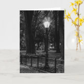 Black and White Landscape Photo of Central Park Karte (Gelbe Blume)