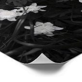 Black and White Meadows Poster (Ecke)