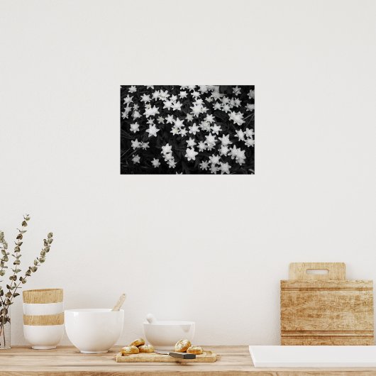 Black and White Meadows Poster (Küche)