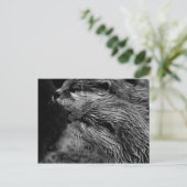 black and white otters postkarte (Stehend Vorderseite)