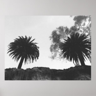 Black and White Palm Trees on Cliffside Poster