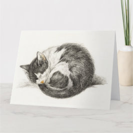 Black and white pencil drawing of a sleeping cat karte