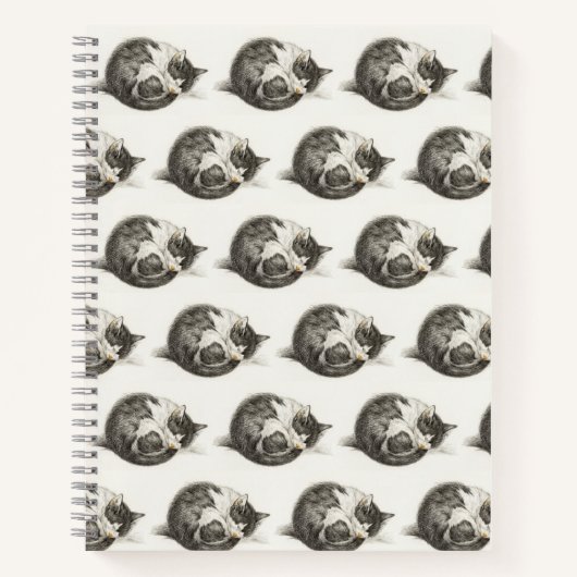 Black and white pencil drawing of a sleeping cat notizblock (Vorderseite)