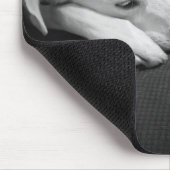 Black and White Photo of Dog Sleeping New Year Mousepad (Ecke)