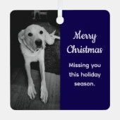 Black and White Photo of Sad Dog Missing You Blue Ornament Aus Metall (Vorderseite)