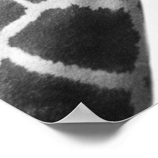 Black and white portrait of a giraffe poster (Ecke)
