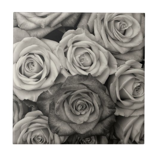 Black and White Roses Fliese (Vorderseite)