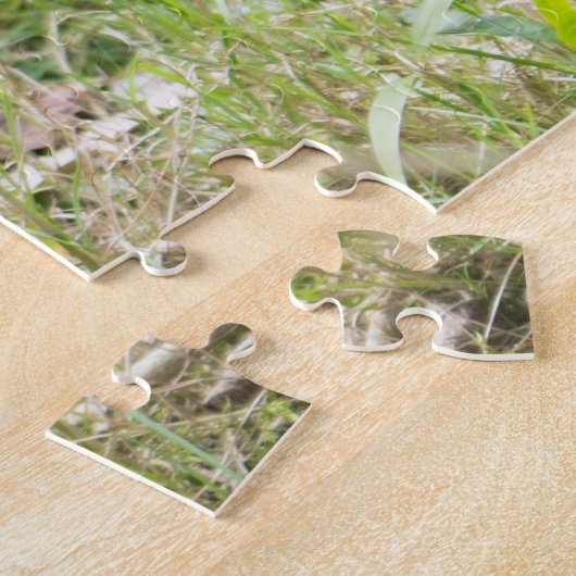 Black and White Ruffed Lemur: Wildlife Photography Puzzle (Seite)