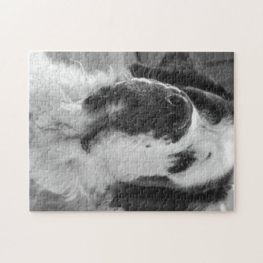 Black and White Saint Bernard Dog Puzzle (Horizontal)