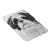 Black and White Shih Tzu Art Magnet (Rechte Seite)