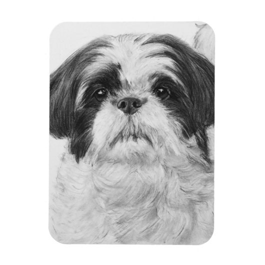 Black and White Shih Tzu Art Magnet (Vertikal)