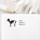 Black and White Spaniel (Insitu)