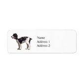 Black and White Spaniel (Vorne)